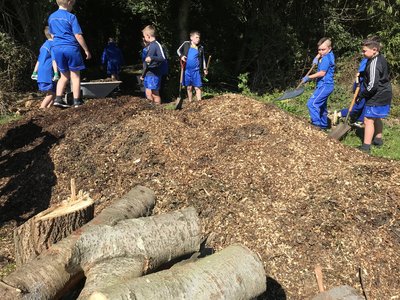 Image of Year 5 help in Squirrel Wood