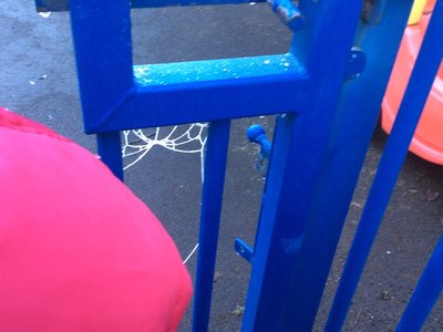 Image of kindy icy spiderman webs