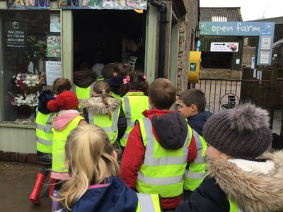 Image of Year 2 Greenlands Farm Visit